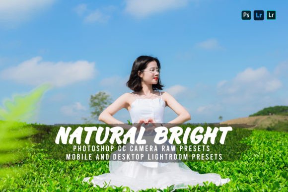 Download 10 Natural Bright Lightroom Presets - Bright lightroom presets Collection